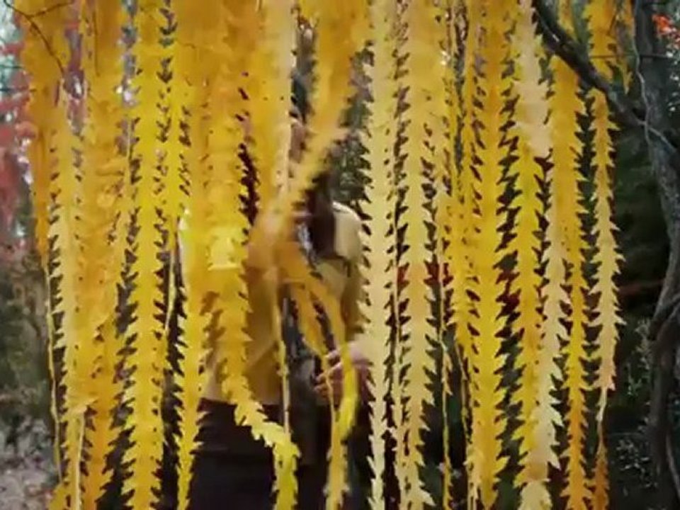 The Odd Life of Timothy Green (2012) - Official Trailer [HD]