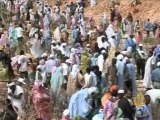 غرس ثلاثمائة ألف شجرة في موريتانيا