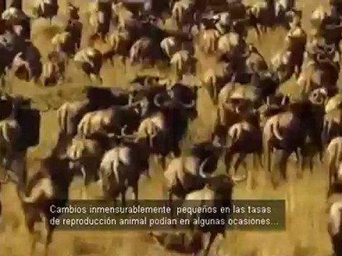 567 Evolucion, Orden y Caos. La vida secreta del caos