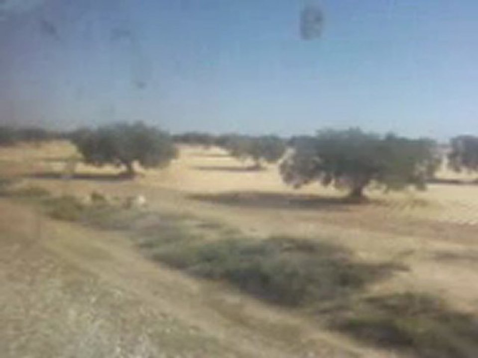 bir salah sfax tunisie vu du train sncft