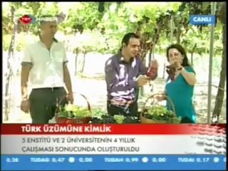 TRT haber. 09.08.2012 canlı yayın