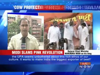 'Cow protection' Modi's new weapon- slams 'Pink Revolution'