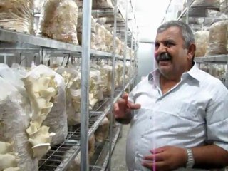 aktaş mantar yeni ürününü tanıttı