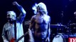 Iggy and the Stooges : Search and Destroy