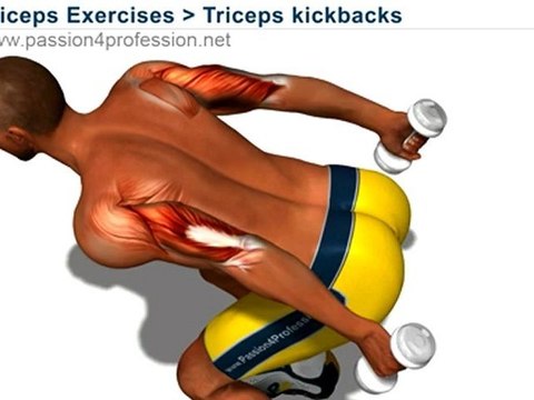Triceps kickbacks