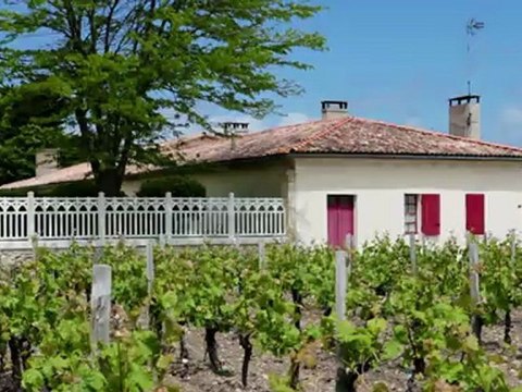 Châteaux & Vignobles à Saint-Seurin de Cadourne