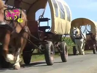 Les Roulottes du Sud Vendee