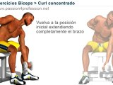 Curl concentrado ejercicios para biceps
