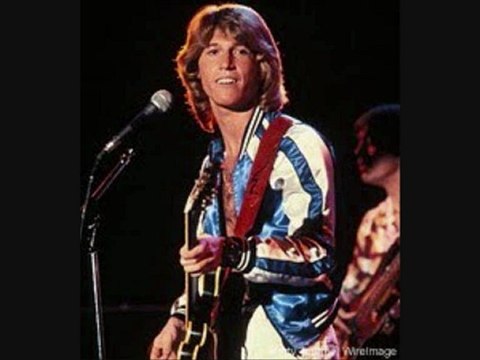 Andy Gibb ( Our Love - Don't Throw It All Away / Tyros 2 )