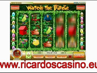 video slot game  from Ricardos Casino
