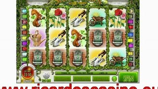 New video slot from Ricardos Casino