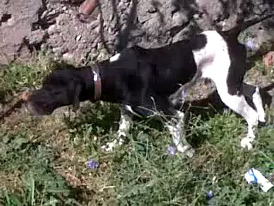 VID_00012-20120630-0857