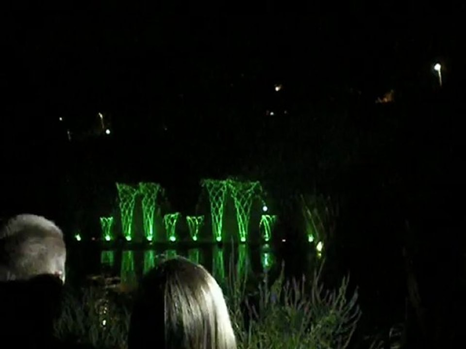 spectacle du lac des cygnes