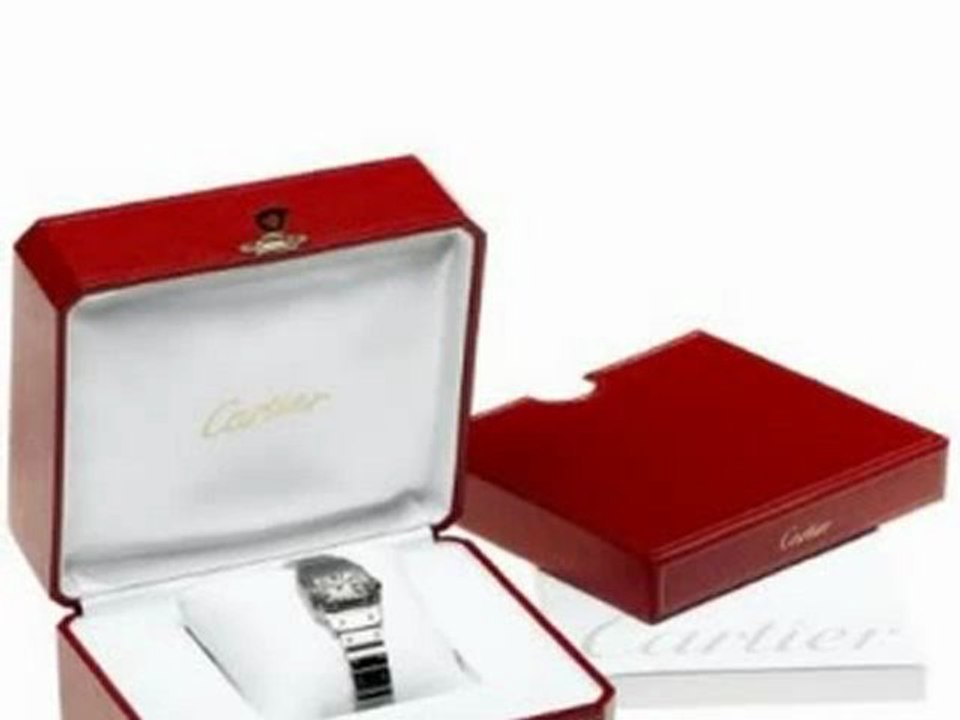 BEST BUY Cartier Women's W20056D6 Santos Stainless Steel Watch