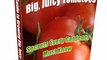 Cooking Book Review: Growing Tomatoes: How To Grow Tomatoes That Are Big, Colorful, Juicy, And Tasty! by Mark Allen