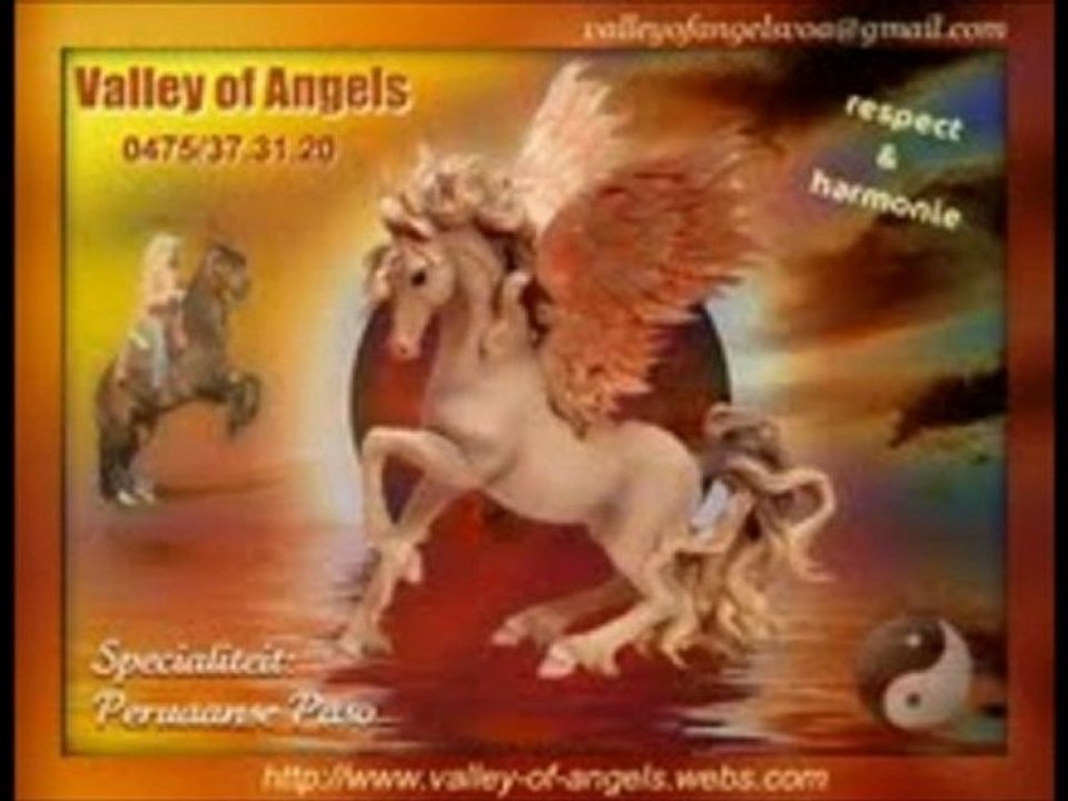 ag angels paco en san