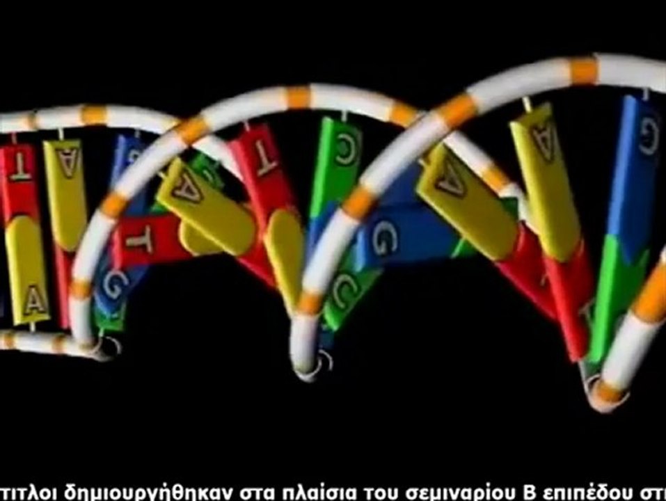 Δομή DNA
