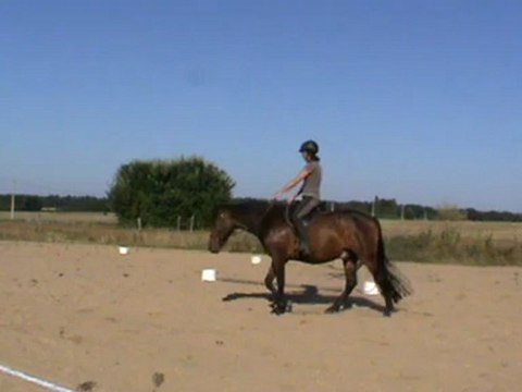 Volt et les tournants, débourrage, 5e séance.