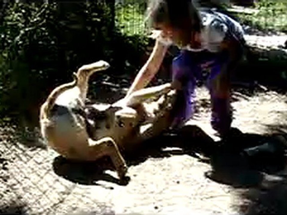 Le roulé boulé de Canelle!