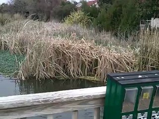 Barefoot Landing - This is a nice place to visit in Myrtle Beach, SC. Vacation.