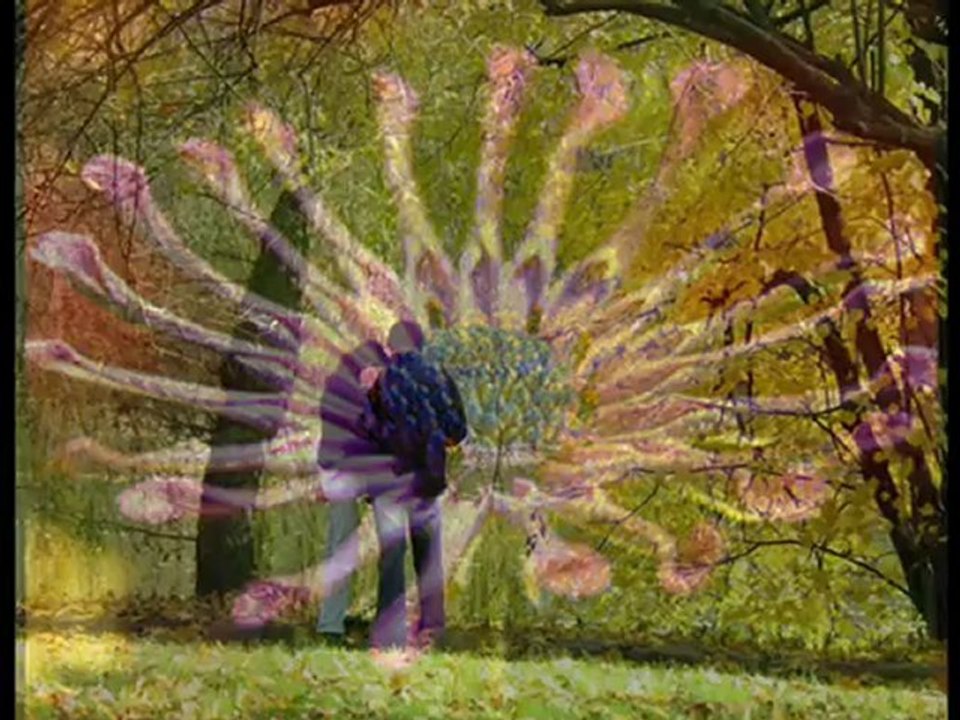 FRANK WESEMANN - Das Beste bist du