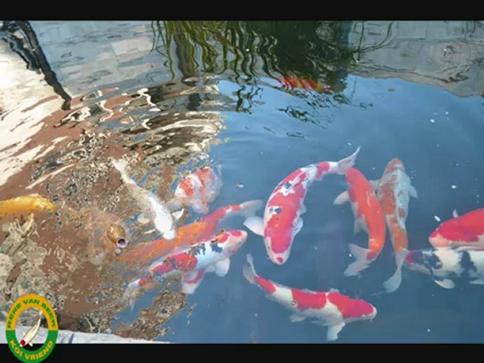 dagje bij t'viske 11 - 08 - 2012