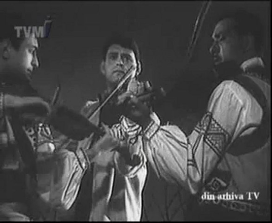 Maria Dragan - Foaie verde bob naut