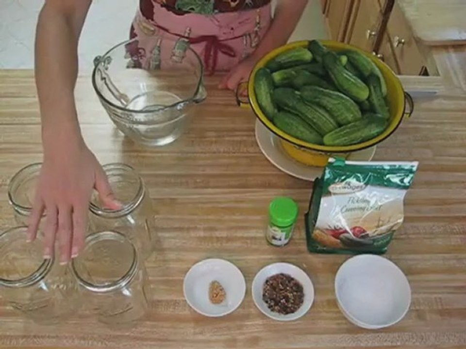 Sun Pickles part 1
