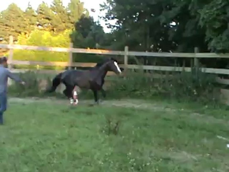 Saut en liberté du 10 08 2012.1