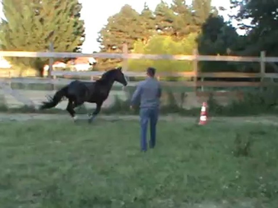 Saut en liberté du 10 08 2012.2