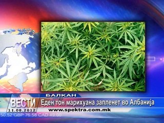 TV SPEKTRA VESTI 11.08