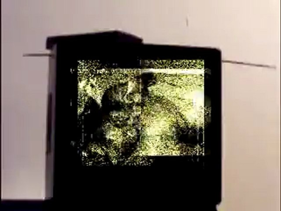 tvandvidre