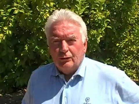 Bardi Toto Best Social Media Branding Strategist Testimony