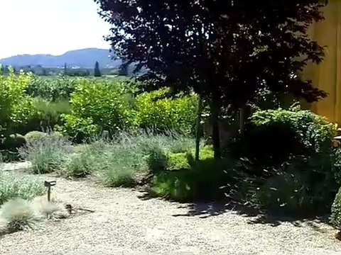 Paraduxx Winery Napa with Amicis Tours