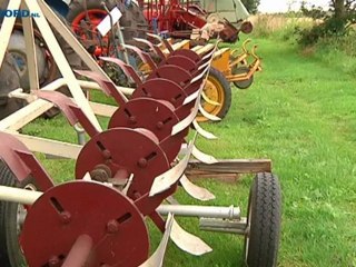 Festival Landbouw toen en nu: een droom die uitkomt - RTV Noord