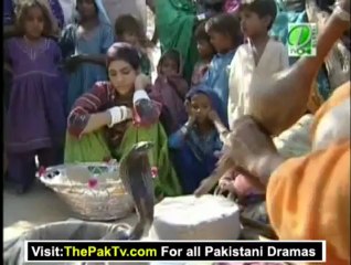 Chehra e Zan (Nimmo Papad Wali) By Tv One - 10th Agust 2012 - Part 4