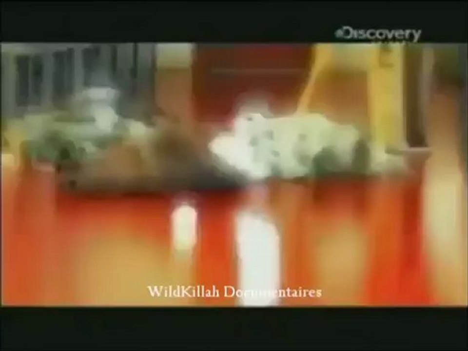 Derrière Les Barreaux - Les Liens Du Gangs