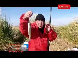 pasión por la pesca  29/07/2012  parte_1