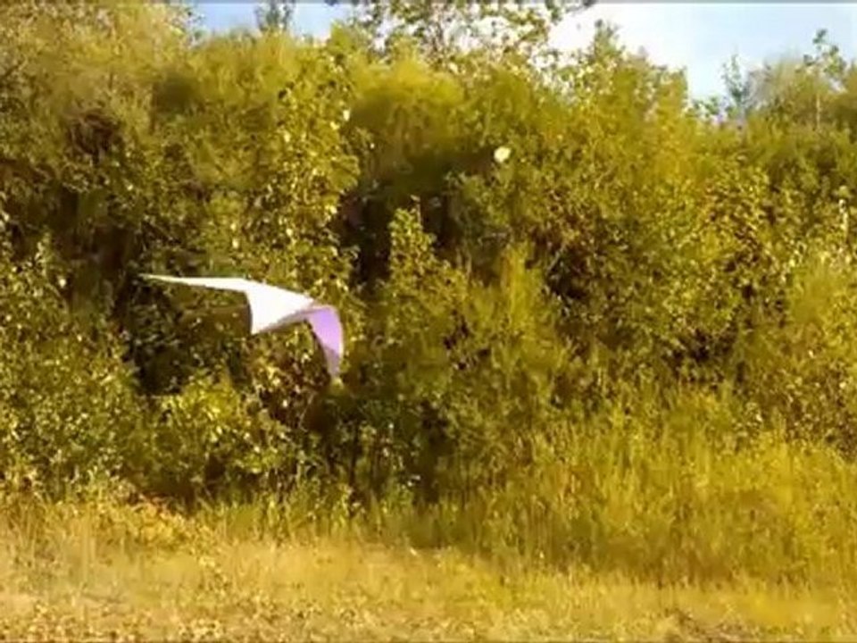 Fun with the Maestro II