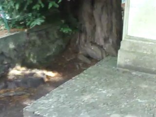 Le petit cimetière des Sand, dans la propriété de Nohant, juillet 2012