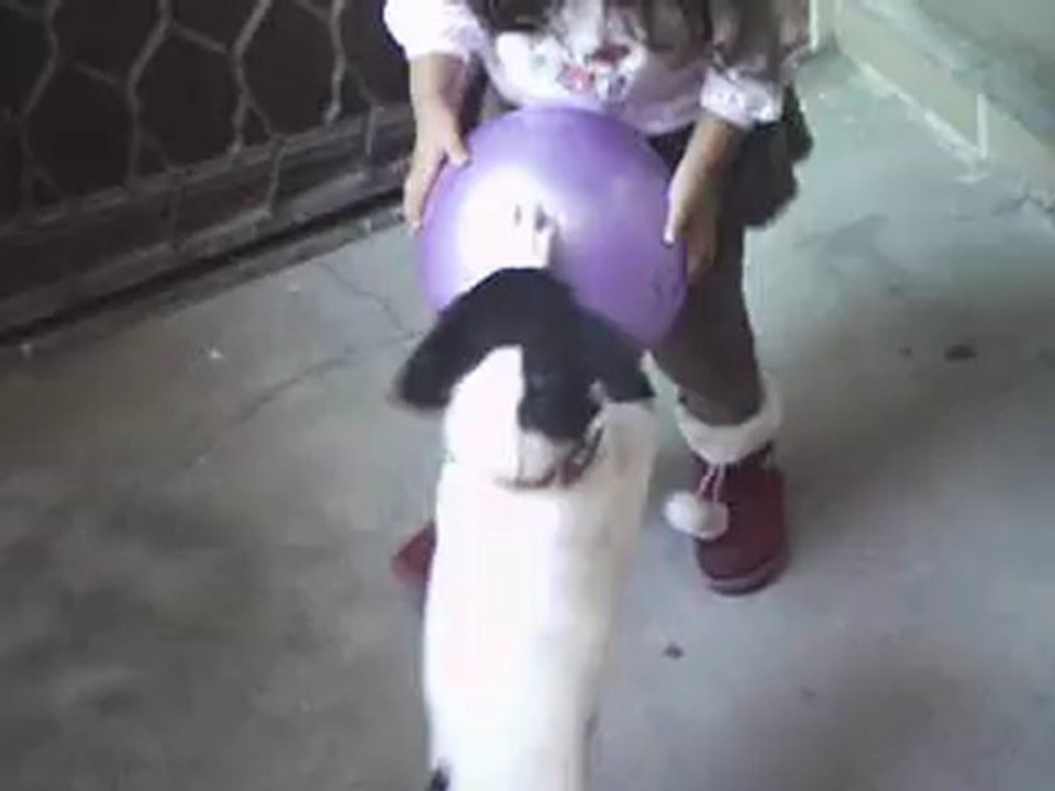 milo 10