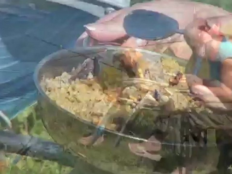 Плов-fishing