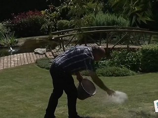 Comment utiliser des cendres dans son jardin ?