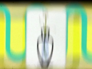 eBay Video Promotion Gig ##5