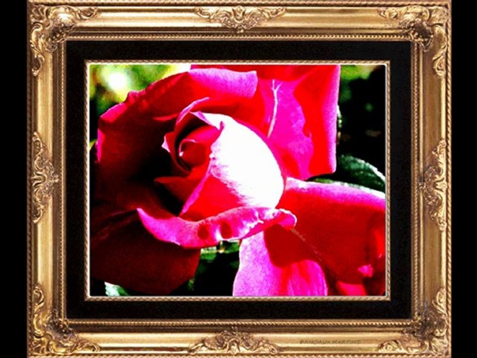 ©L'HUMANISME POEME THOMAS ANDRE PHOTOS&PHOTOS-PEINTURES MARTINE ANCIAUX MUSIQUES PAUL DECOMBLE&DUKE ELLINGTON©