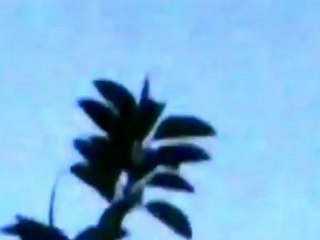 UFO. Mexico City .2011