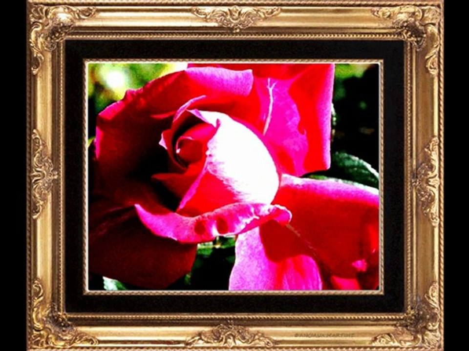 ©L'HUMANISME POEME THOMAS ANDRE PHOTOS&PHOTOS-PEINTURES MARTINE ANCIAUX MUSIQUES PAUL DECOMBLE&DUKE ELLINGTON©