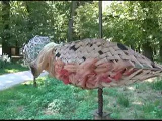 Exposition d'oiseaux Parc Colombière Dijon