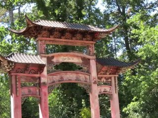 Paris - jardin tropical - 2012