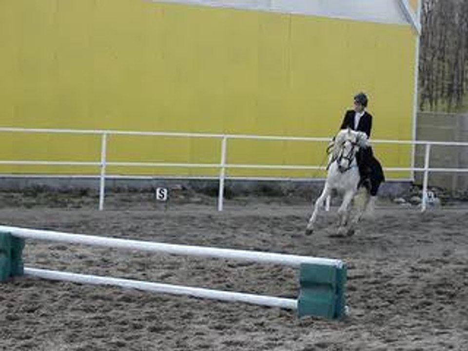 show equestre